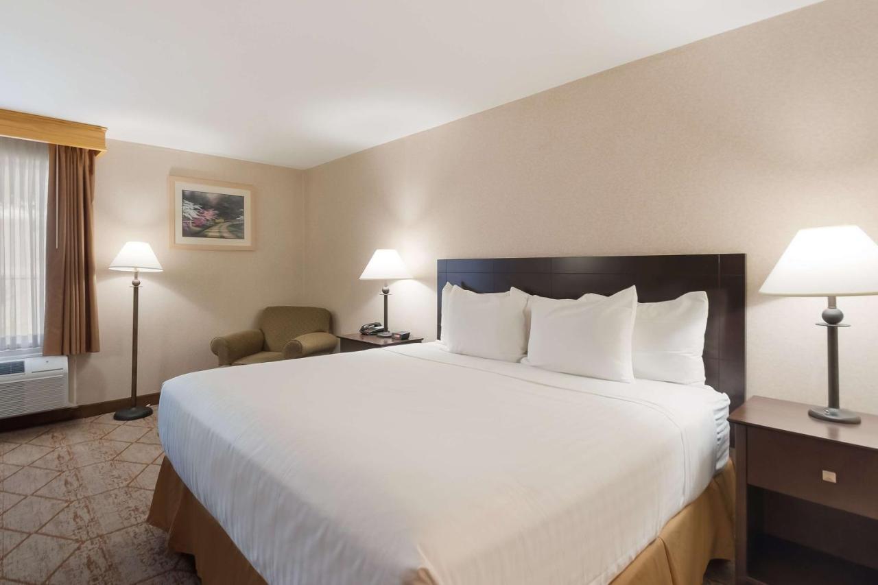 Best Western Manassas Esterno foto